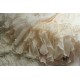 Faeries Daffodil Fish Scales Underskirt(Reservation/8 Colours/Full Payment Without Shipping)
